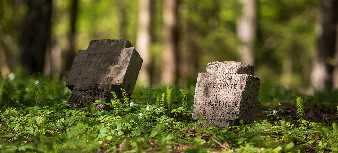 close up of two tombstones