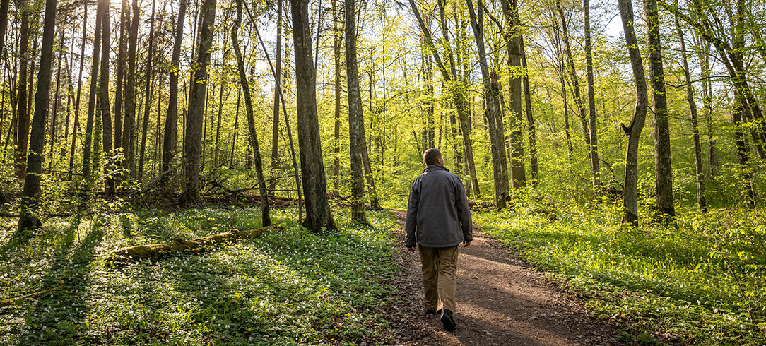 man walking in a forest