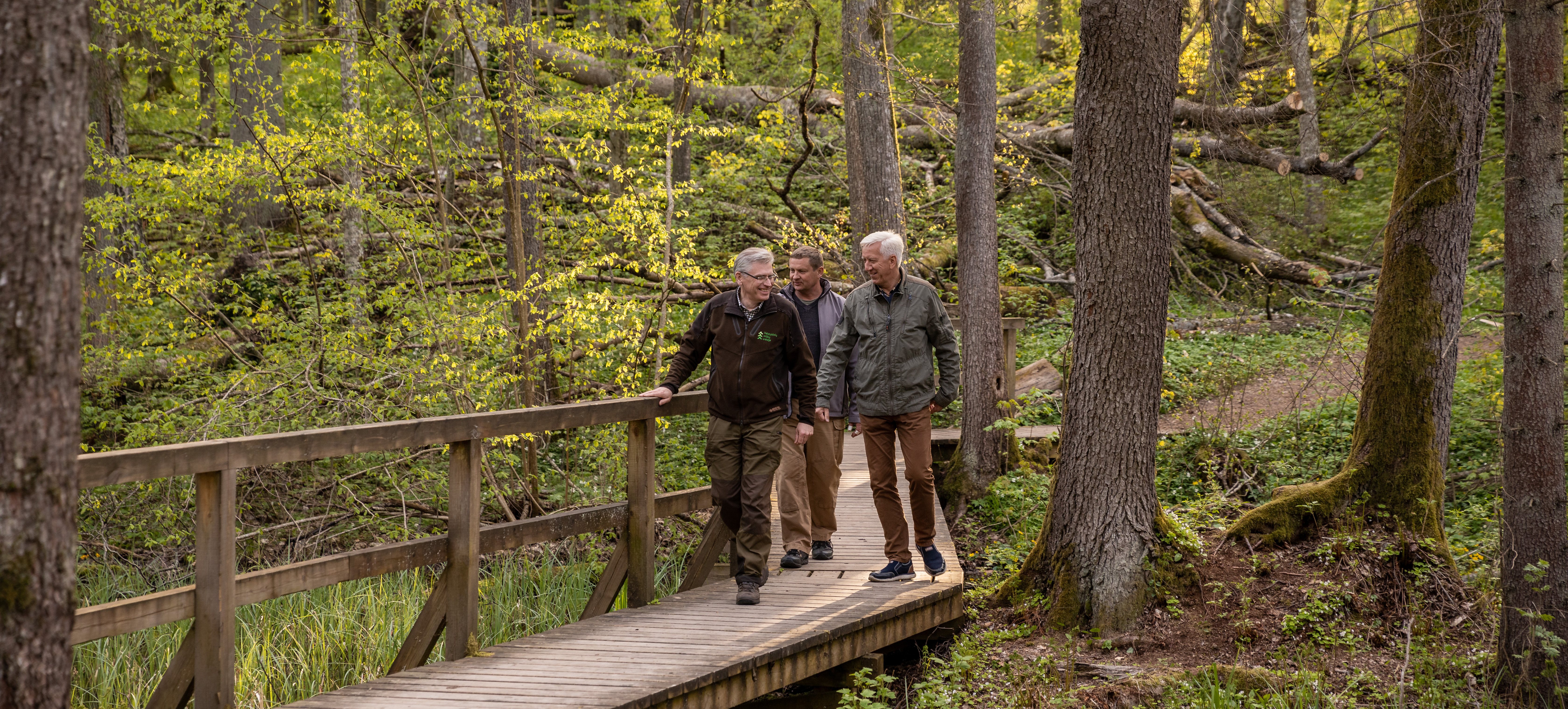 three forest managers walking over a wooden bridge in a forest