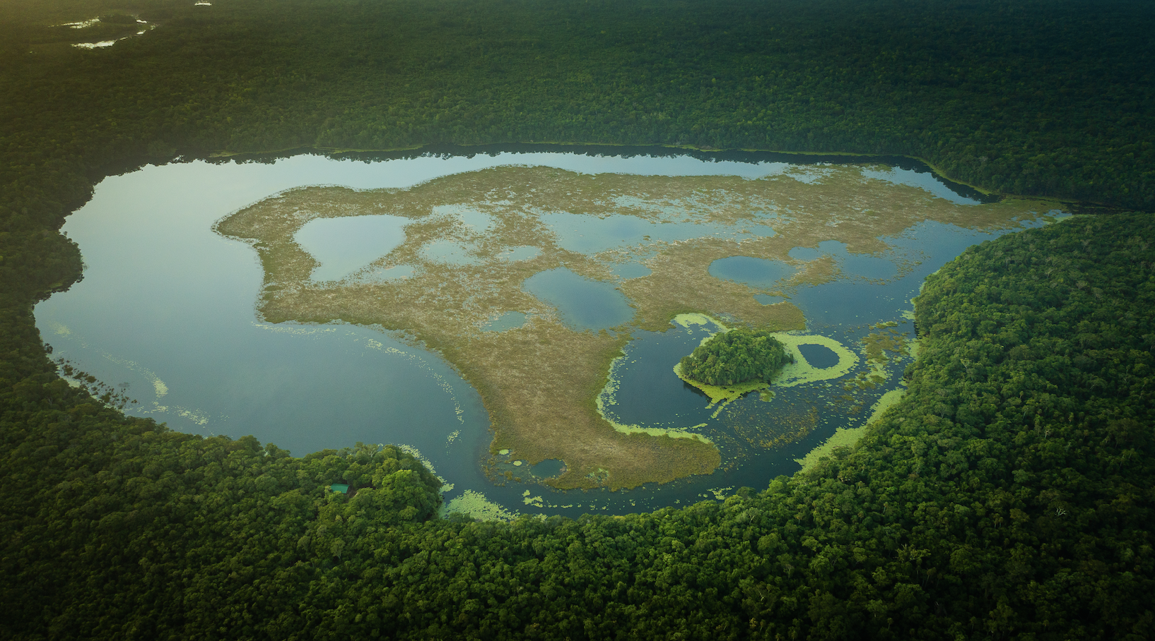 drone shot of lake and surrounding forest in Mayan Biosphere Reserve