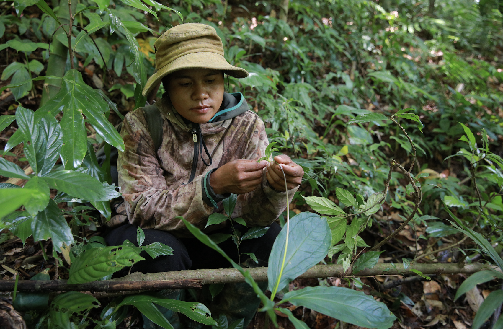 Woman crouches amid underbrush in Vietnamese forest