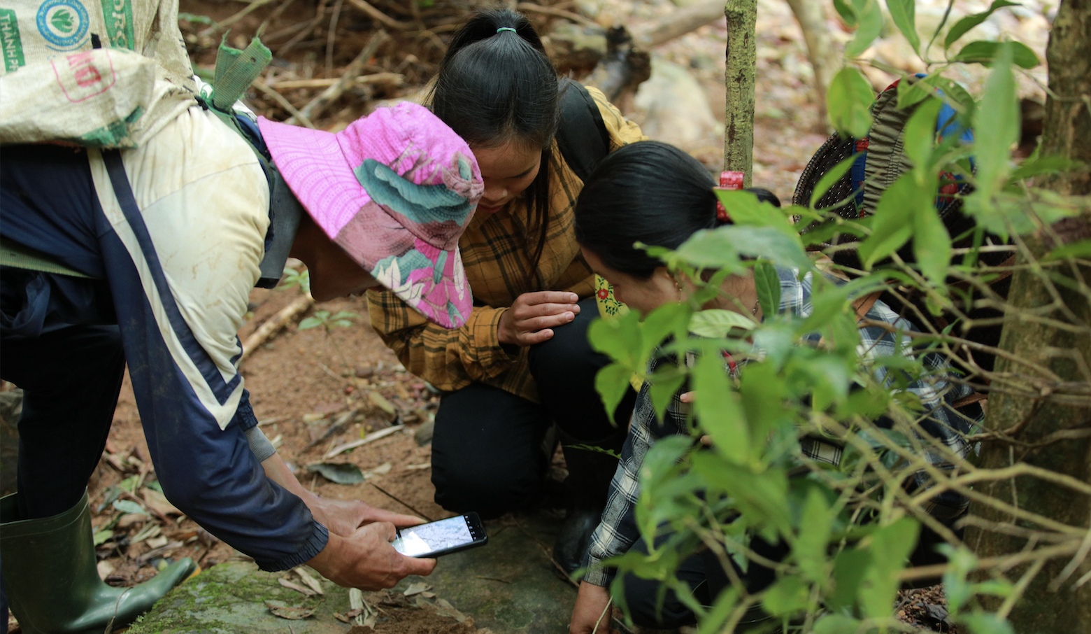 Patrol team in Vietnamese forest using mobile app to collect data
