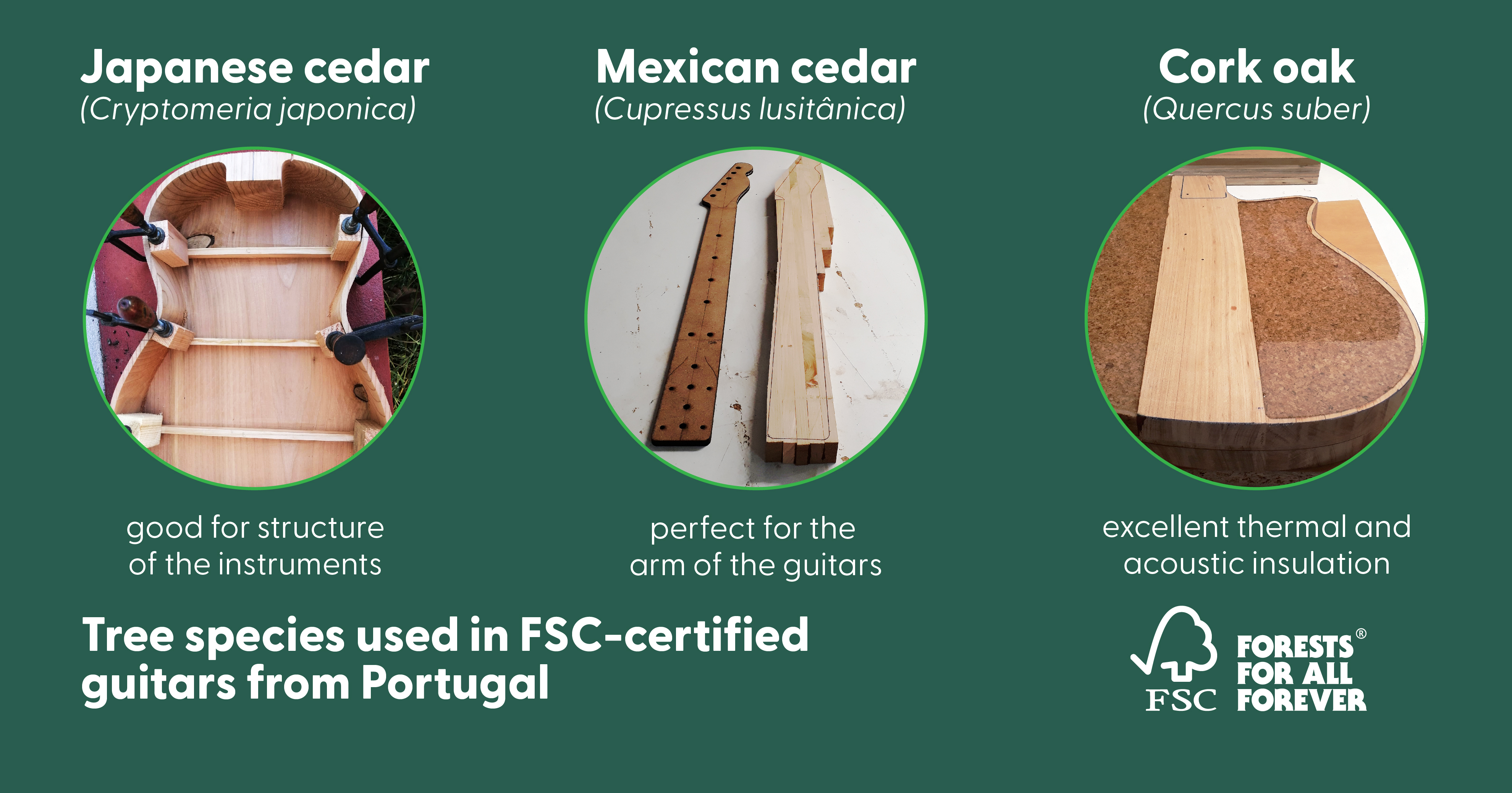 graphic of tree species used to make and FSC-certified guitar