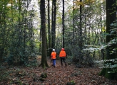 two workers in a forest